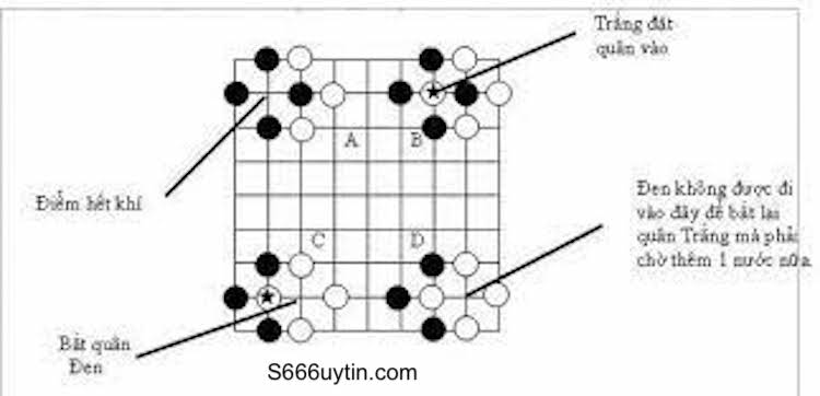 hướng dẫn cách tính điểm cờ vây